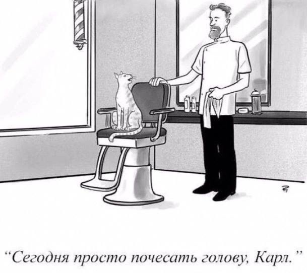 Так себе картинки 12.06.24