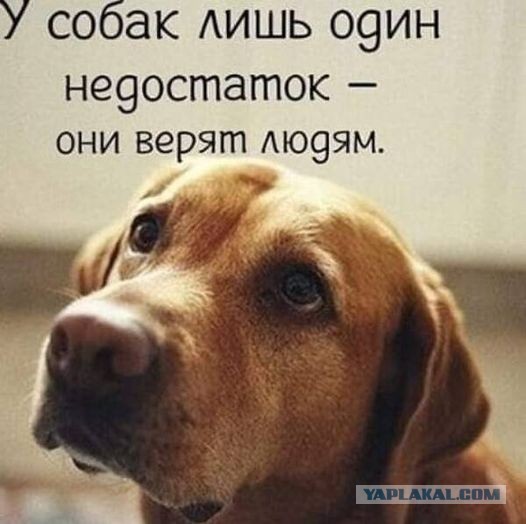 Картинки и буквы 24.06.2024