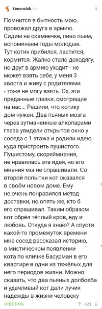 Весёлый полтишок 19.12.24