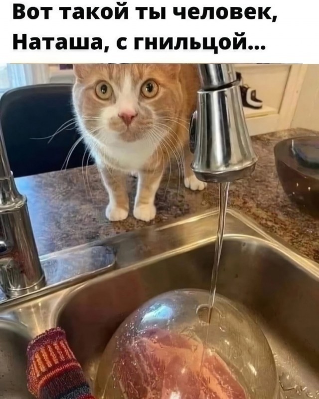 Веселые картинки в пятницу (17.01)