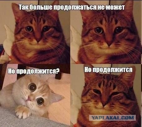Картинки для настроения
