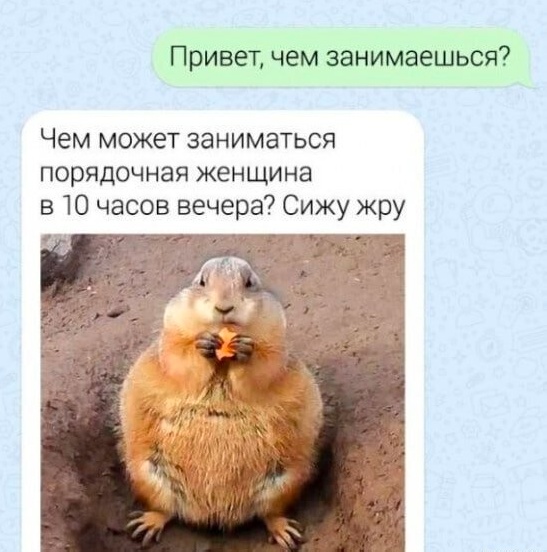 Картинки для деградации 55 (разной степени свежести)