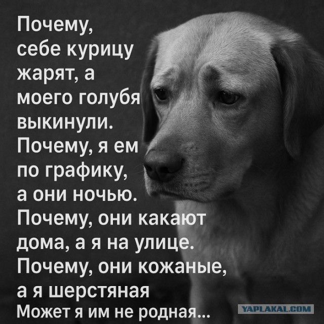 Картинки для деградации 66 (разной степени свежести)