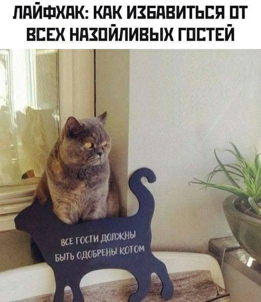Картинки для деградации 73 (разной степени свежести)
