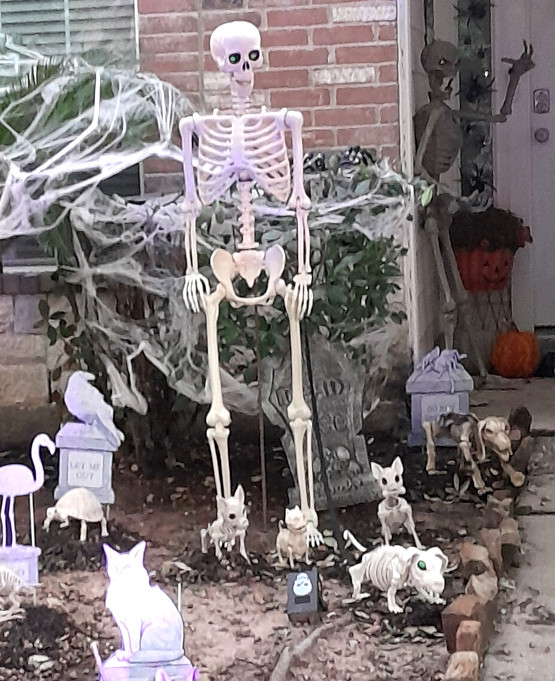 Техас готов к Хэллоуину