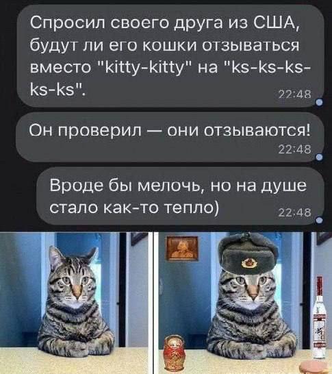 Картинки для деградации 93 (разной степени свежести)