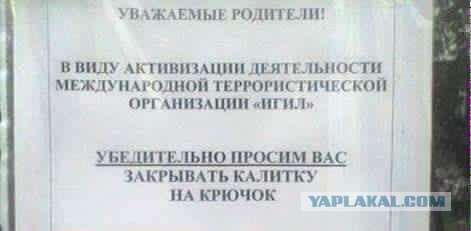 Проблему Гренландии решит Эстония