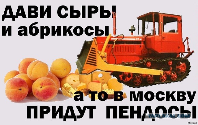 В Липецке обнаружили и уничтожили 4 килограмма санкционного сыра