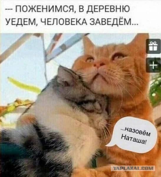 Наташа, пошли пожрём