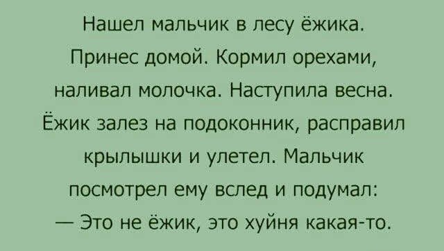 Картинки для деградации 169 (разной степени свежести)