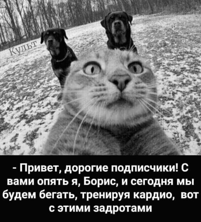 Картиночки, баянчики 29 июня