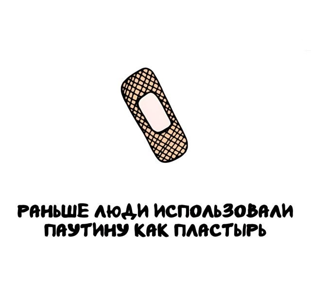 Интересные и короткие факты, на все случаи жизни