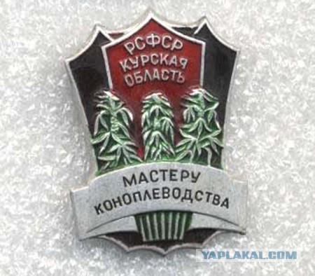 Корова в МакДаке