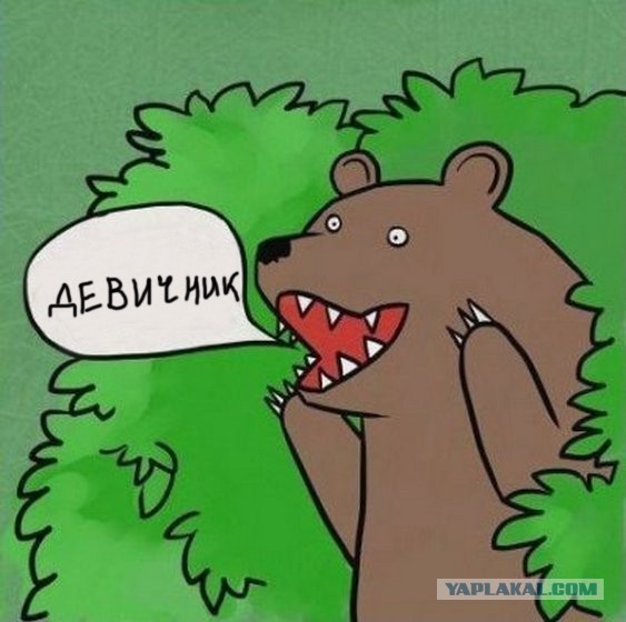 Случай из жизни...