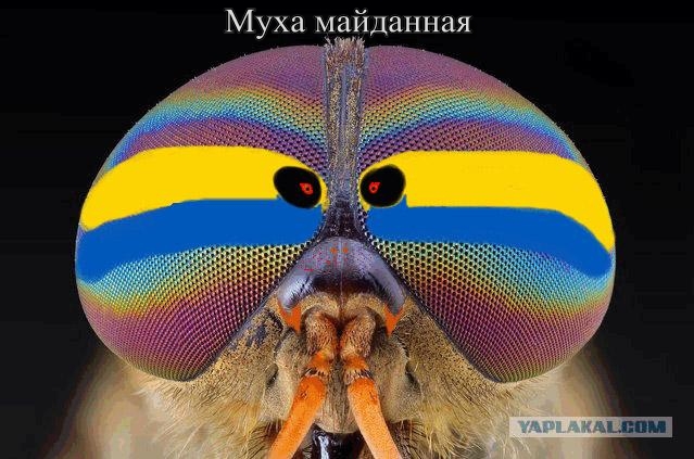 Кличко: Россия объявила войну Украине.