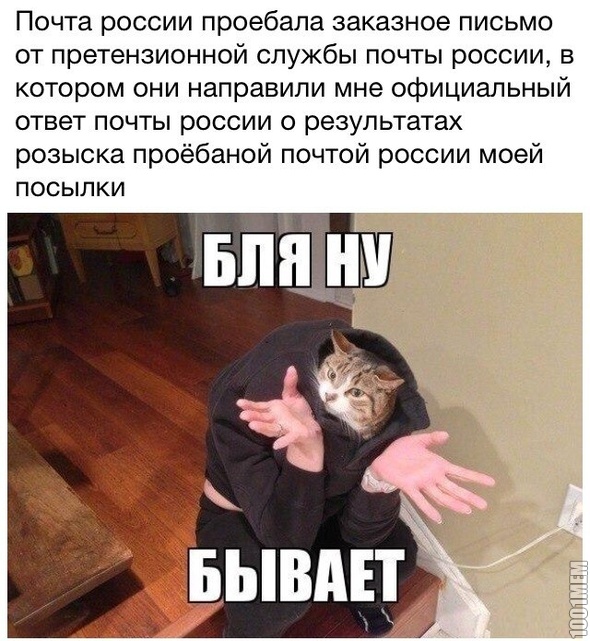 Смешные фото из сети