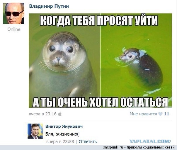 В ближайшее воскресенье Янукович вернется