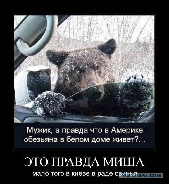 Бесславные ублюдки...