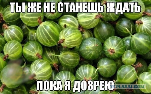 Комменты из соцсетей