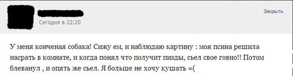 Свежие смешные комментарии из социальных сетей