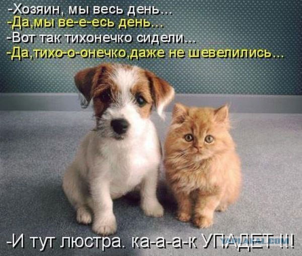Чёрт, чёрт, чёрт!