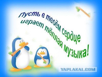 Всем зеленки!