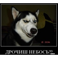 Немного эротики