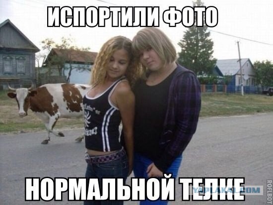 Веселые картинки