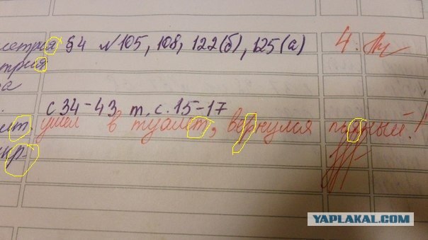 Записи в дневниках бывают и такие
