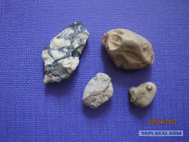 Каменная летопись