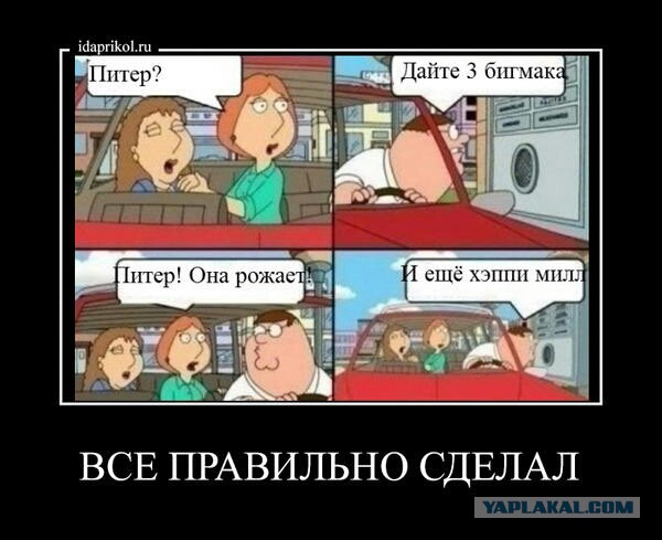 Коллекция картинок