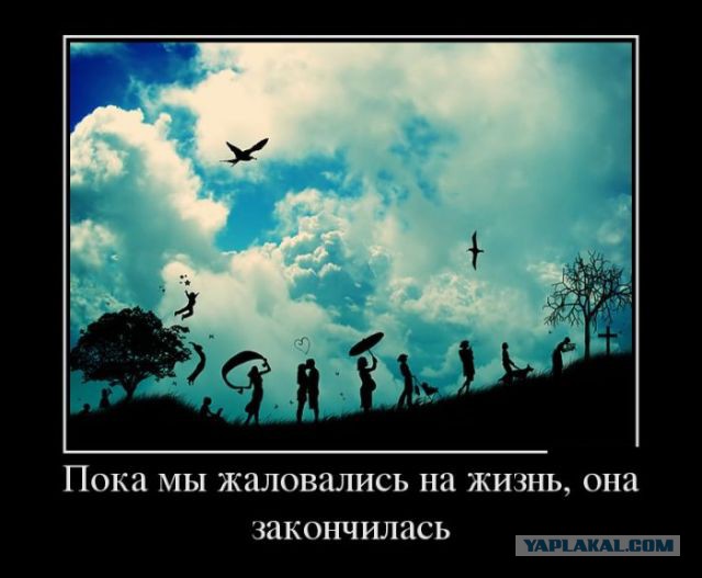 Картинки с буквами
