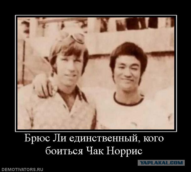 С днюхой тебя, Чак Норрис
