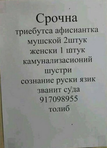 41 веселая картинка