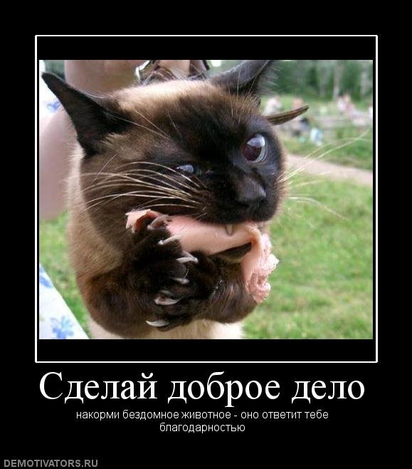 Мемы вспоминаем и добавляем....