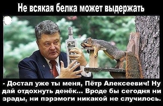 10 политических картинок часть 20