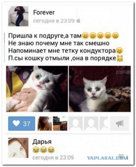 Картинки смешные и несмешные