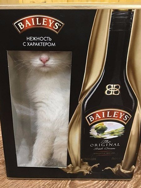 Картинки разные