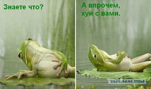 Любому терпению есть предел