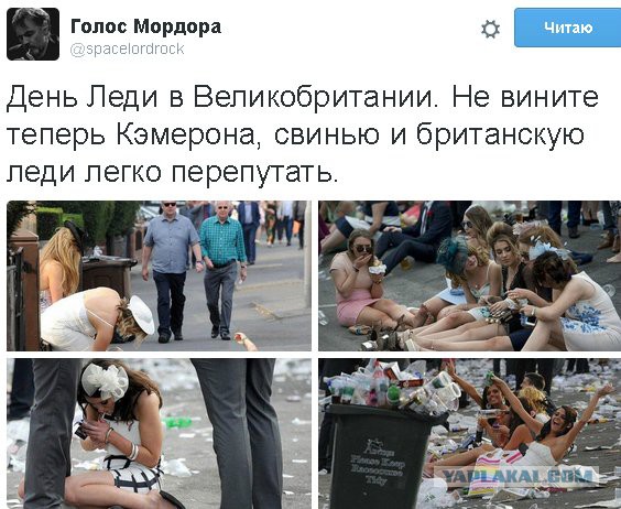 Финские листовки для советских солдат в Зимнюю войну