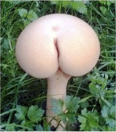 Подборка картинок ни о чём