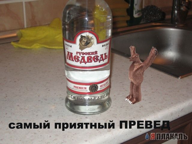 Превед медвед!