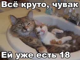 Абсурдный юмор ч.2