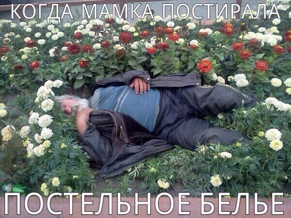 Свежая подборка картинок