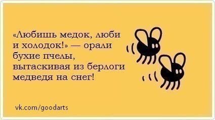 Картинки из Интернетов