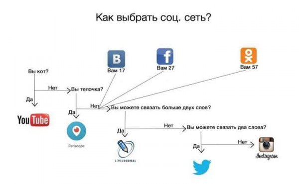 Фотографии из соцсетей
