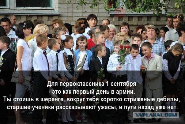 Демотиваторы на выходные
