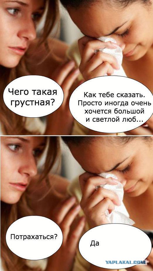 Весёлые картинки