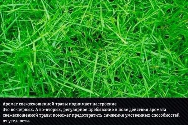Подборка "тёплых уютных домашних" фотографий, часть 6