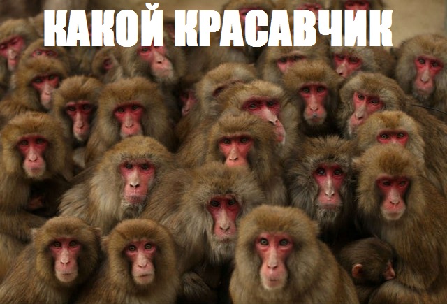 Уникальный борцовский приём " летающая белка"